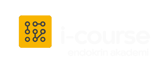 I-Course Logo